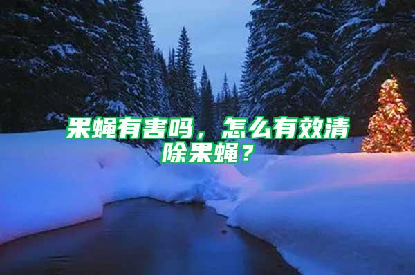 果蠅有害嗎，怎么有效清除果蠅？