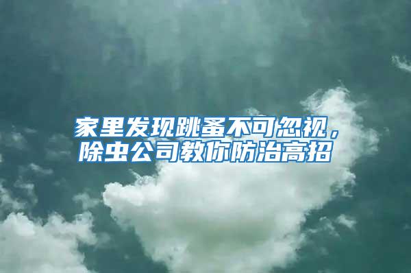 家里發現跳蚤不可忽視，除蟲公司教你防治高招