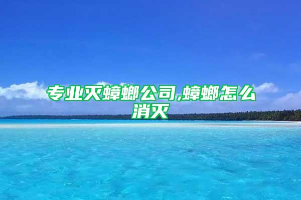 專業滅蟑螂公司,蟑螂怎么消滅