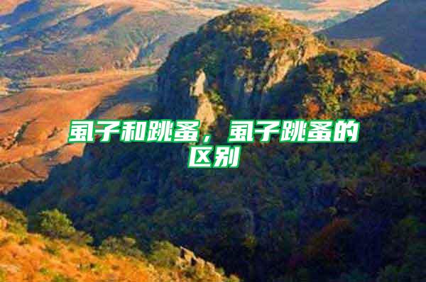 虱子和跳蚤，虱子跳蚤的區(qū)別