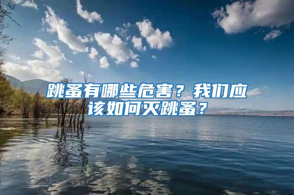跳蚤有哪些危害？我們應該如何滅跳蚤？