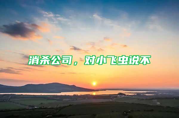 消殺公司，對小飛蟲說不