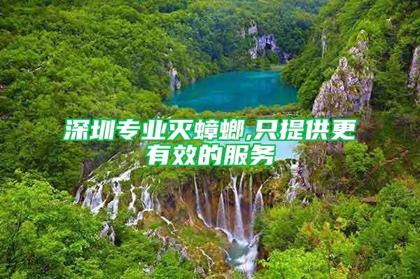 深圳專業滅蟑螂,只提供更有效的服務
