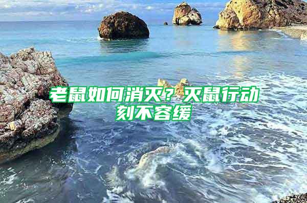 老鼠如何消滅？滅鼠行動刻不容緩