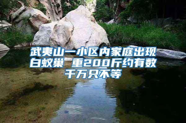 武夷山一小區(qū)內(nèi)家庭出現(xiàn)白蟻巢 重200斤約有數(shù)千萬(wàn)只不等