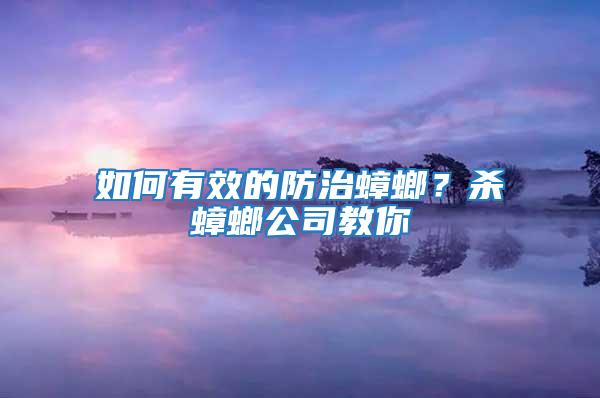如何有效的防治蟑螂？殺蟑螂公司教你