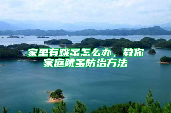家里有跳蚤怎么辦，教你家庭跳蚤防治方法