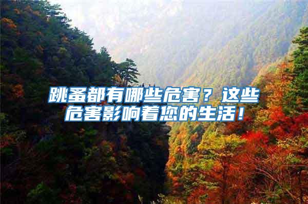 跳蚤都有哪些危害？這些危害影響著您的生活！