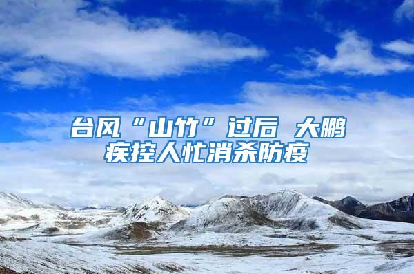 臺風(fēng)“山竹”過后 大鵬疾控人忙消殺防疫