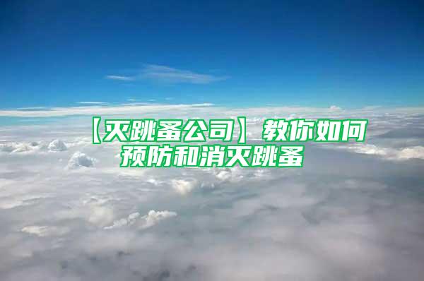 【滅跳蚤公司】教你如何預防和消滅跳蚤