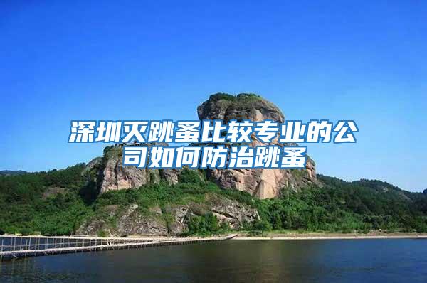 深圳滅跳蚤比較專業的公司如何防治跳蚤