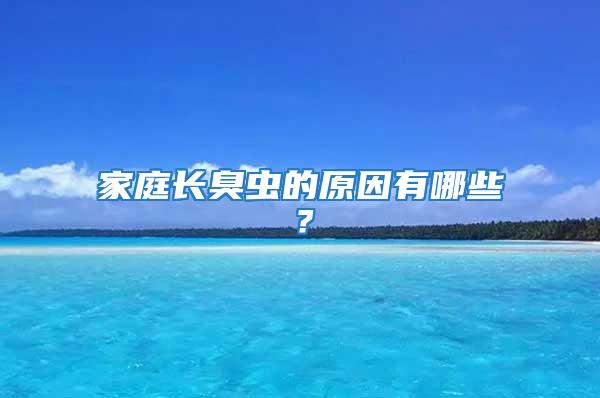 家庭長(zhǎng)臭蟲(chóng)的原因有哪些？