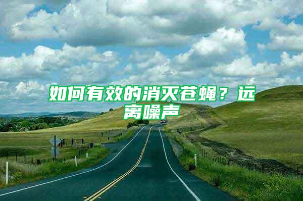 如何有效的消滅蒼蠅？遠離噪聲