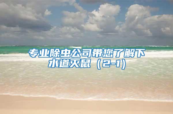 專業除蟲公司帶您了解下水道滅鼠（2-1）