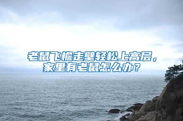 老鼠飛檐走壁輕松上高層，家里有老鼠怎么辦？