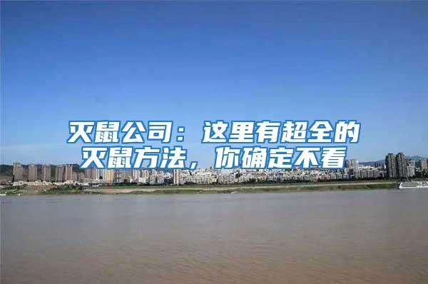 滅鼠公司：這里有超全的滅鼠方法，你確定不看