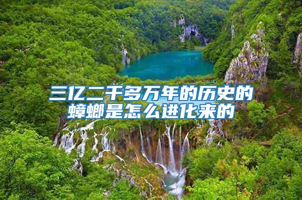 三億二千多萬年的歷史的蟑螂是怎么進(jìn)化來的