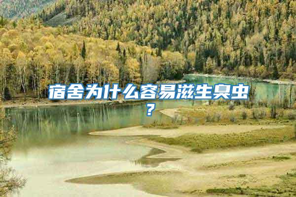 宿舍為什么容易滋生臭蟲？