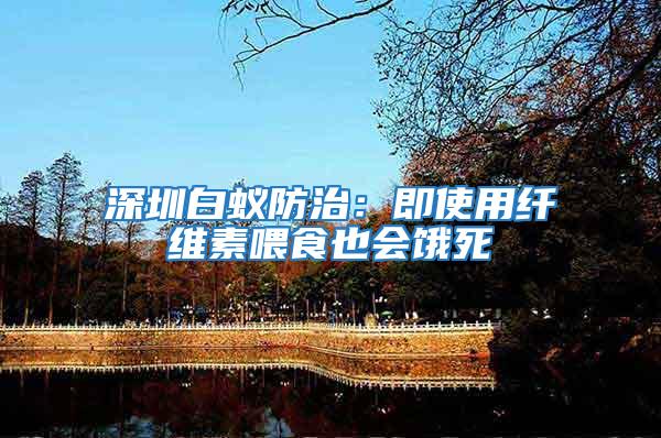深圳白蟻防治：即使用纖維素喂食也會(huì)餓死