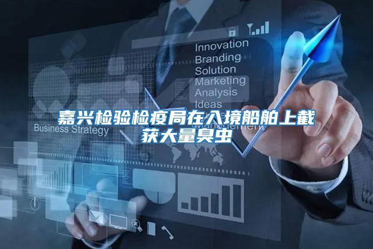 嘉興檢驗(yàn)檢疫局在入境船舶上截獲大量臭蟲