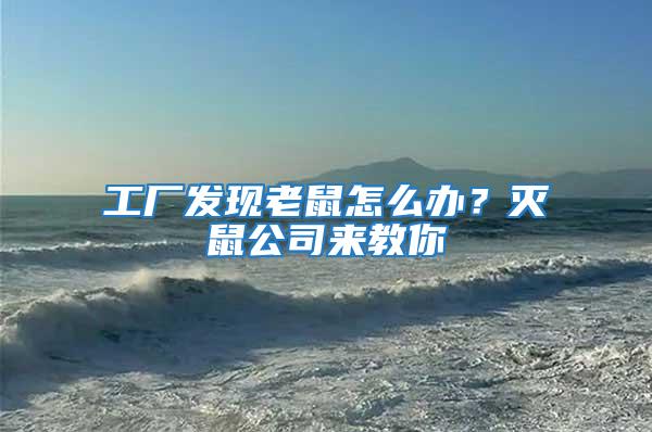 工廠發現老鼠怎么辦？滅鼠公司來教你