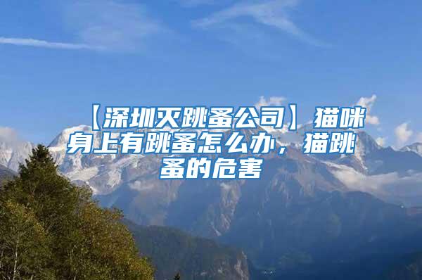 【深圳滅跳蚤公司】貓咪身上有跳蚤怎么辦，貓跳蚤的危害