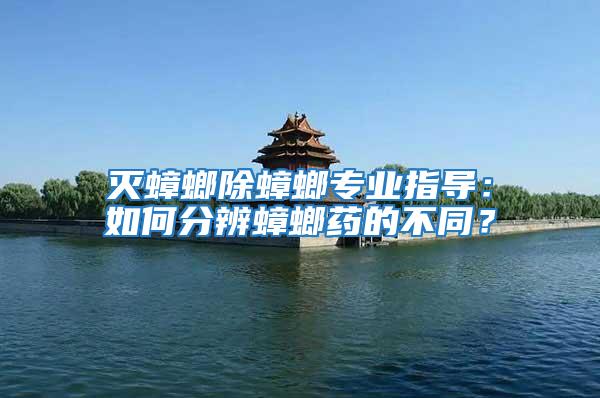 滅蟑螂除蟑螂專業指導：如何分辨蟑螂藥的不同？