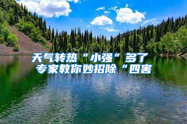 天氣轉(zhuǎn)熱“小強(qiáng)”多了 專(zhuān)家教你妙招除“四害