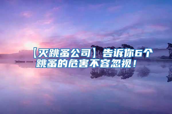 【滅跳蚤公司】告訴你6個(gè)跳蚤的危害不容忽視！