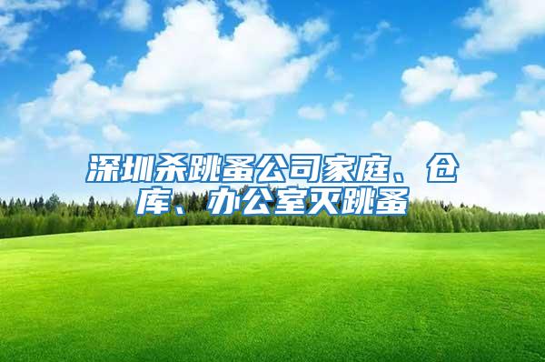 深圳殺跳蚤公司家庭、倉庫、辦公室滅跳蚤
