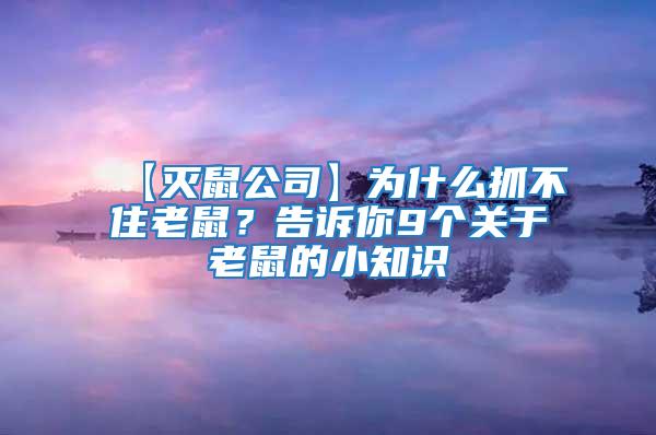 【滅鼠公司】為什么抓不住老鼠？告訴你9個(gè)關(guān)于老鼠的小知識(shí)