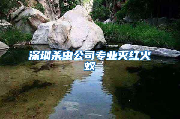 深圳殺蟲公司專業滅紅火蟻