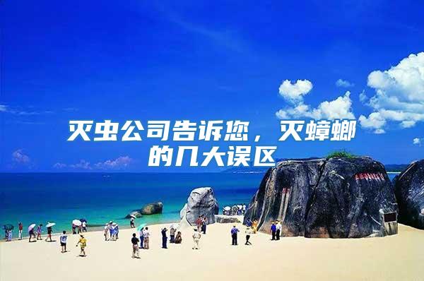 滅蟲公司告訴您，滅蟑螂的幾大誤區