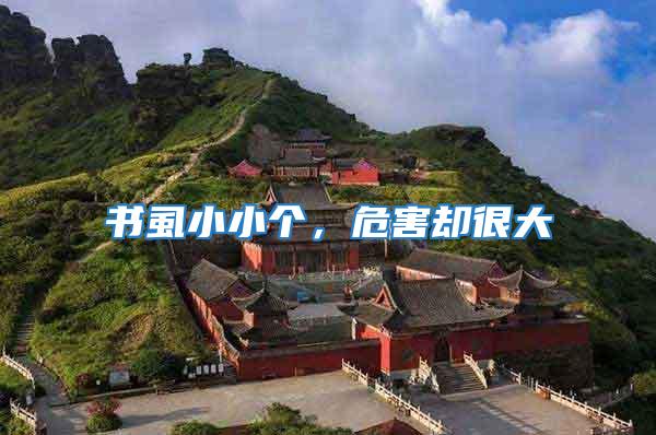 書虱小小個，危害卻很大