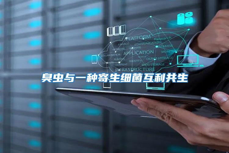 臭蟲(chóng)與一種寄生細(xì)菌互利共生