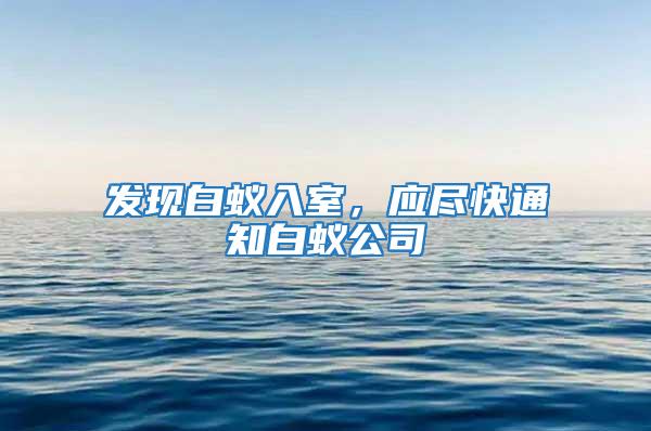發(fā)現(xiàn)白蟻入室，應盡快通知白蟻公司
