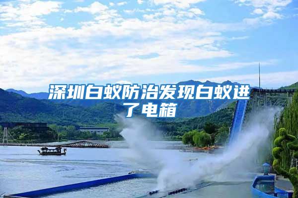 深圳白蟻防治發現白蟻進了電箱