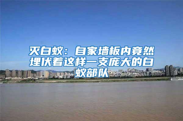 滅白蟻：自家墻板內(nèi)竟然埋伏著這樣一支龐大的白蟻部隊(duì)