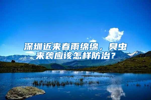 深圳近來春雨綿綿，臭蟲來襲應該怎樣防治？