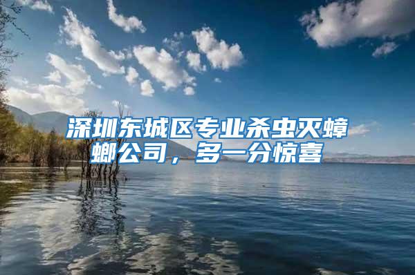 深圳東城區(qū)專業(yè)殺蟲滅蟑螂公司，多一分驚喜