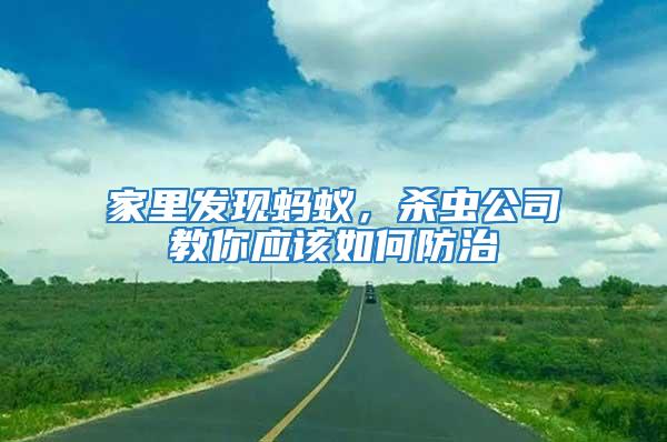 家里發(fā)現(xiàn)螞蟻，殺蟲公司教你應(yīng)該如何防治