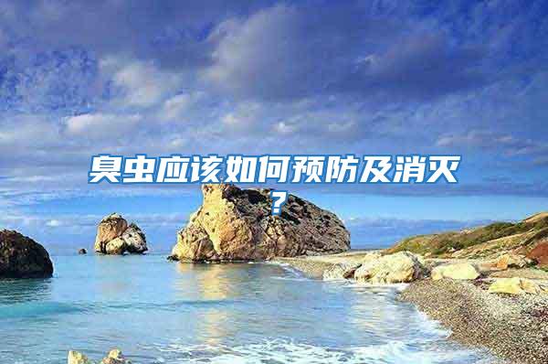 臭蟲應(yīng)該如何預(yù)防及消滅？
