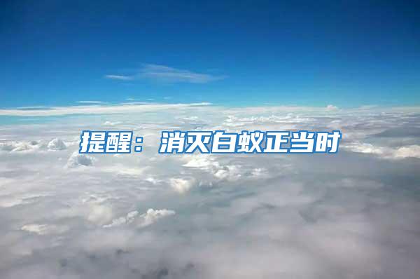 提醒：消滅白蟻正當時