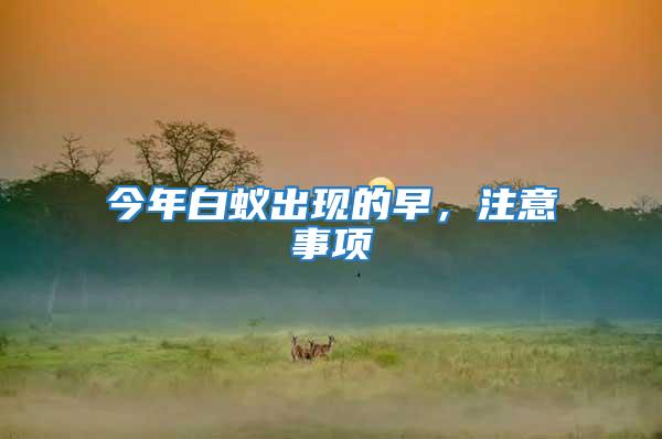 今年白蟻出現的早，注意事項