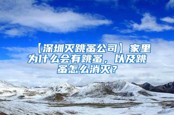 【深圳滅跳蚤公司】家里為什么會有跳蚤，以及跳蚤怎么消滅？