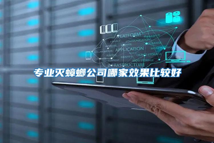 專業(yè)滅蟑螂公司哪家效果比較好