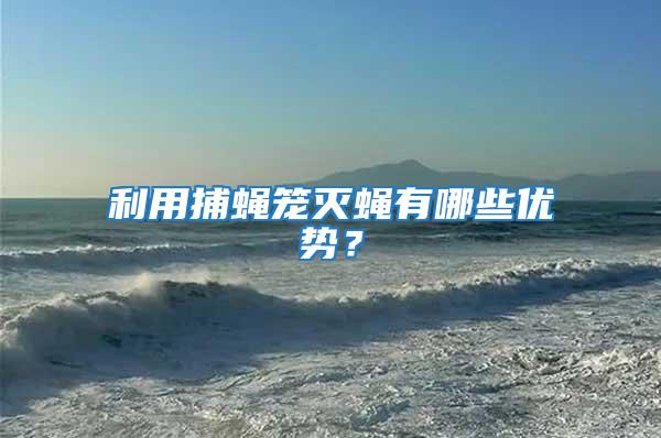 利用捕蠅籠滅蠅有哪些優勢？