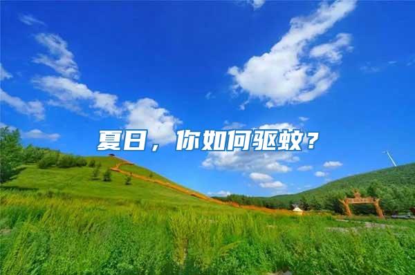 夏日，你如何驅蚊？