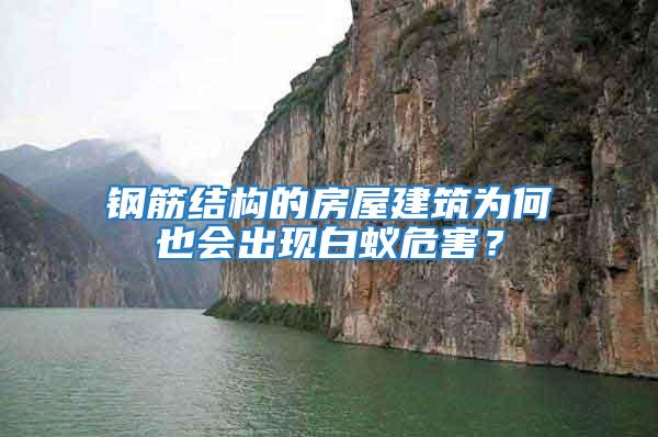 鋼筋結(jié)構(gòu)的房屋建筑為何也會出現(xiàn)白蟻危害？