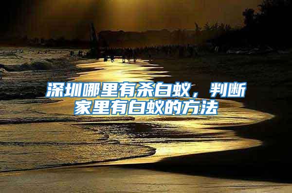 深圳哪里有殺白蟻，判斷家里有白蟻的方法